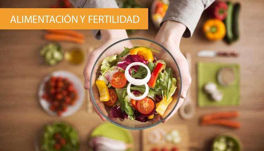 qué dieta seguir para quedarse embarazada 