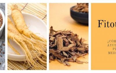 Fitoterapia en un centro de nutrición: Las 5 principales afecciones de los pacientes y su relación con las plantas medicinales