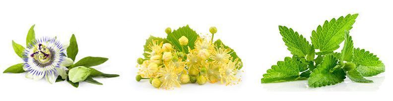 infusiones para el insomnio