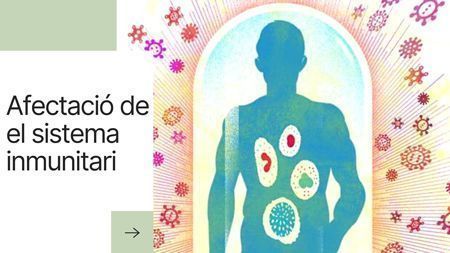 artritis reumatoide i sistema inmunitari